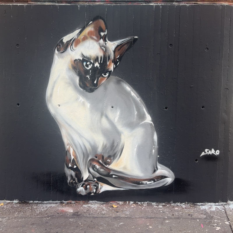 mural in Konstanz by artist Saro.