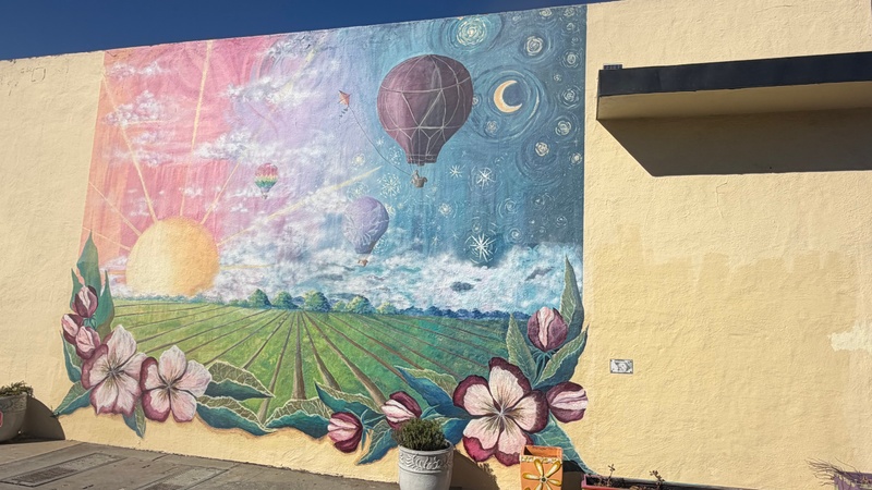 mural in Campbell by artist unknown.
