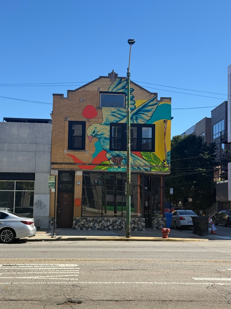 mural in Chicago by artist Fedz.