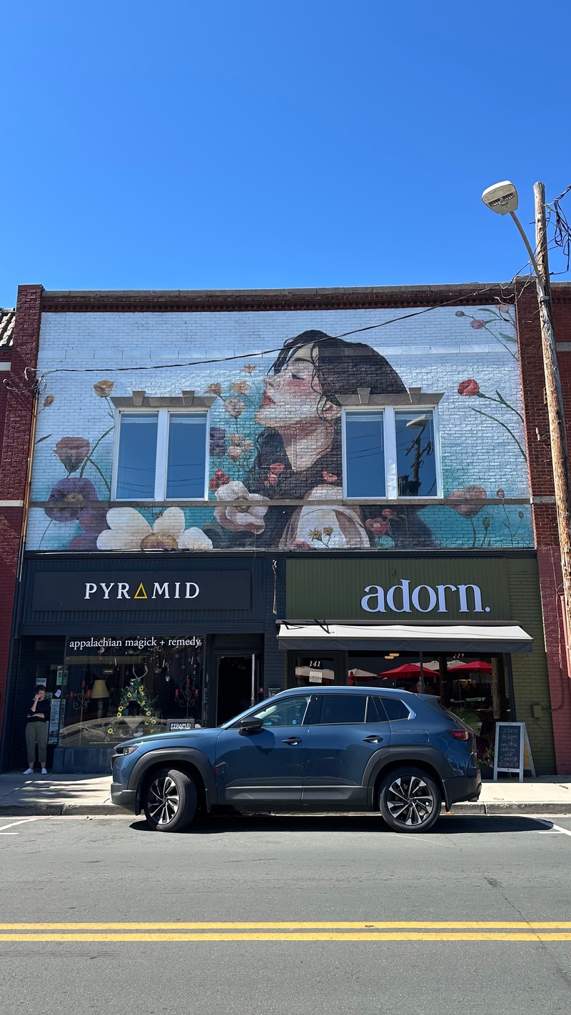 mural in Waynesboro by artist unknown.