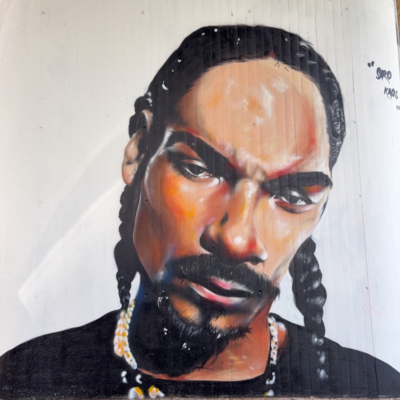 mural in Konstanz by artist Saro.