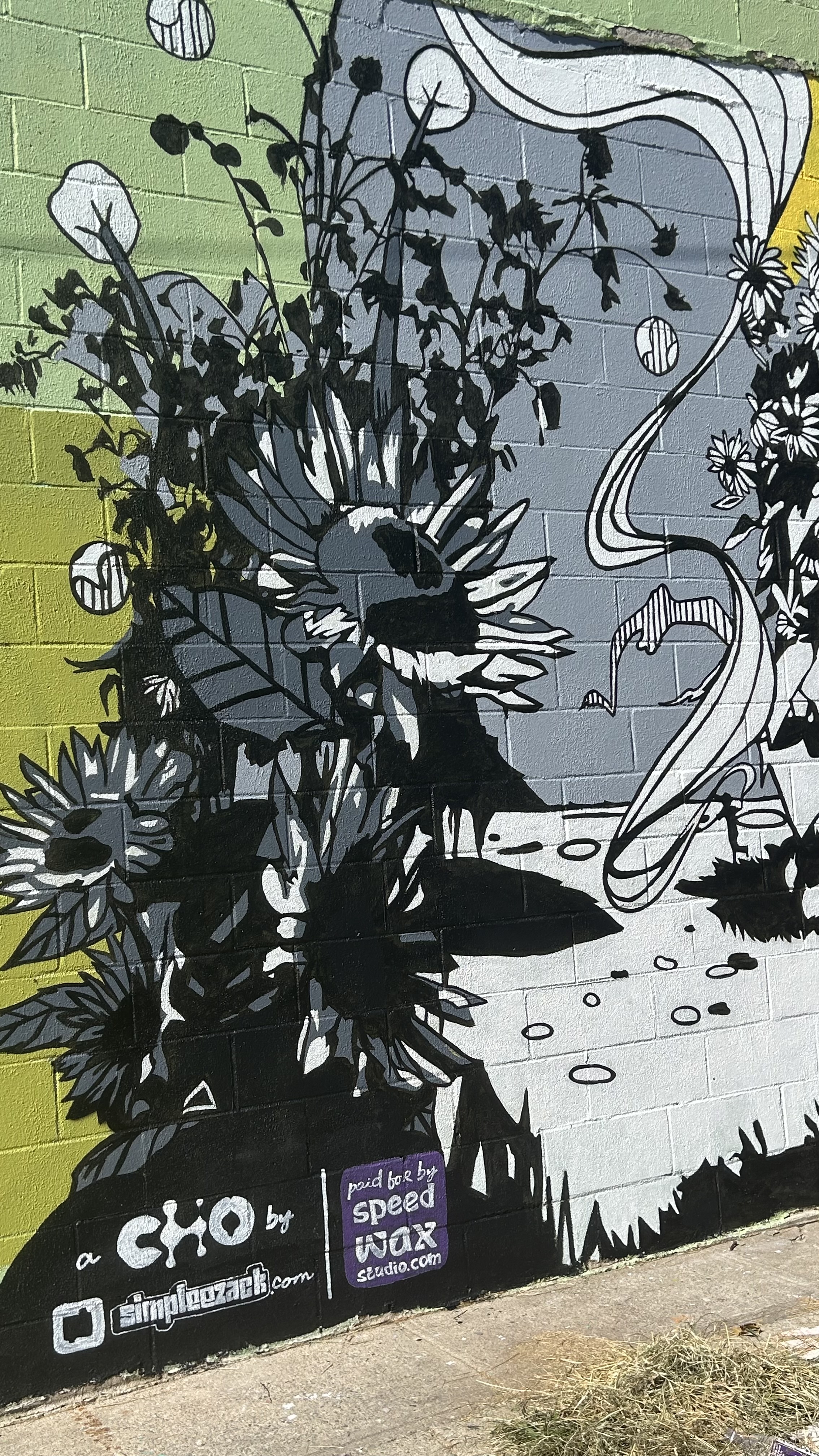 mural in Brooklyn by artist SimpleeZack.