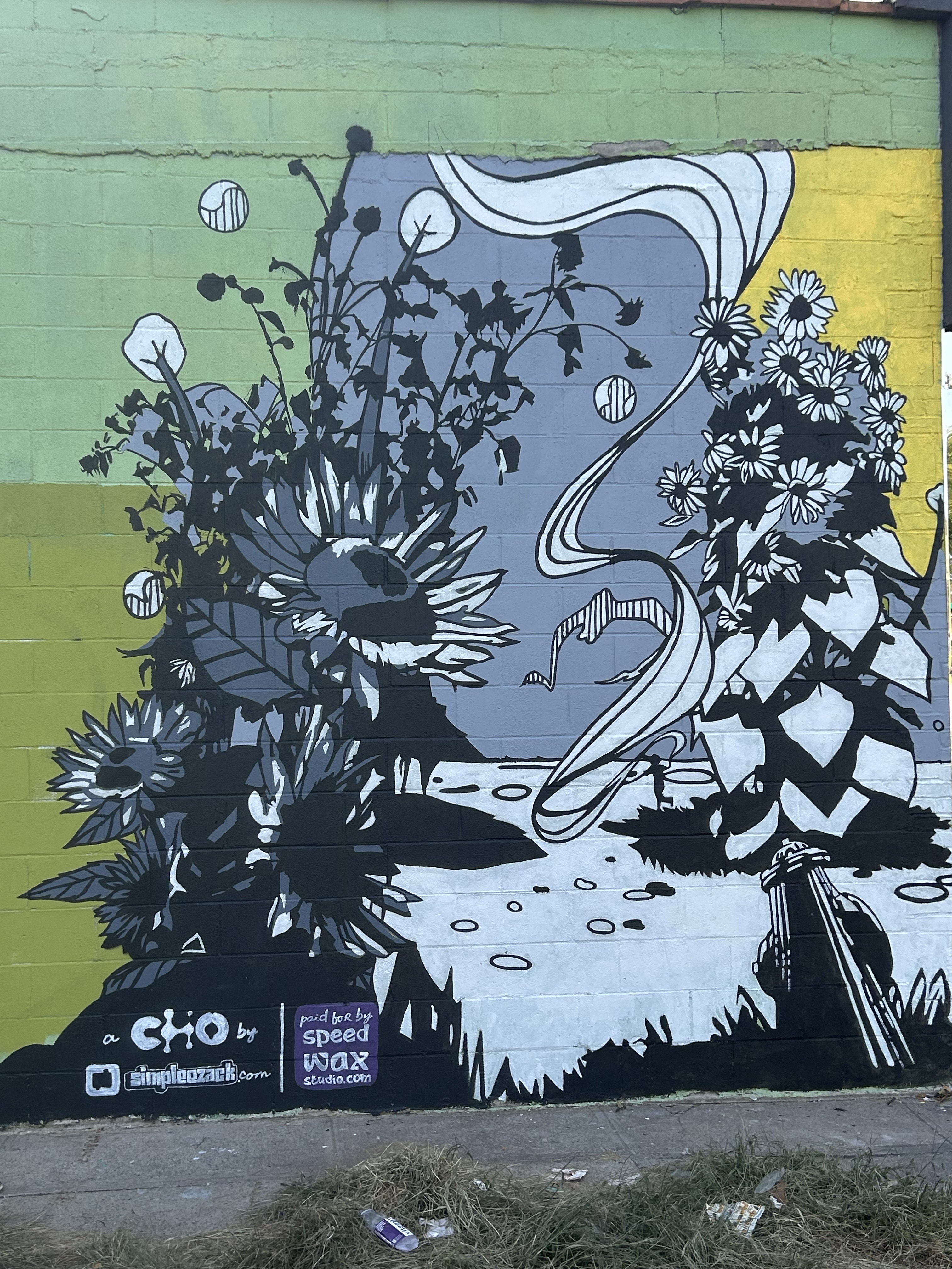 mural in Brooklyn by artist SimpleeZack.