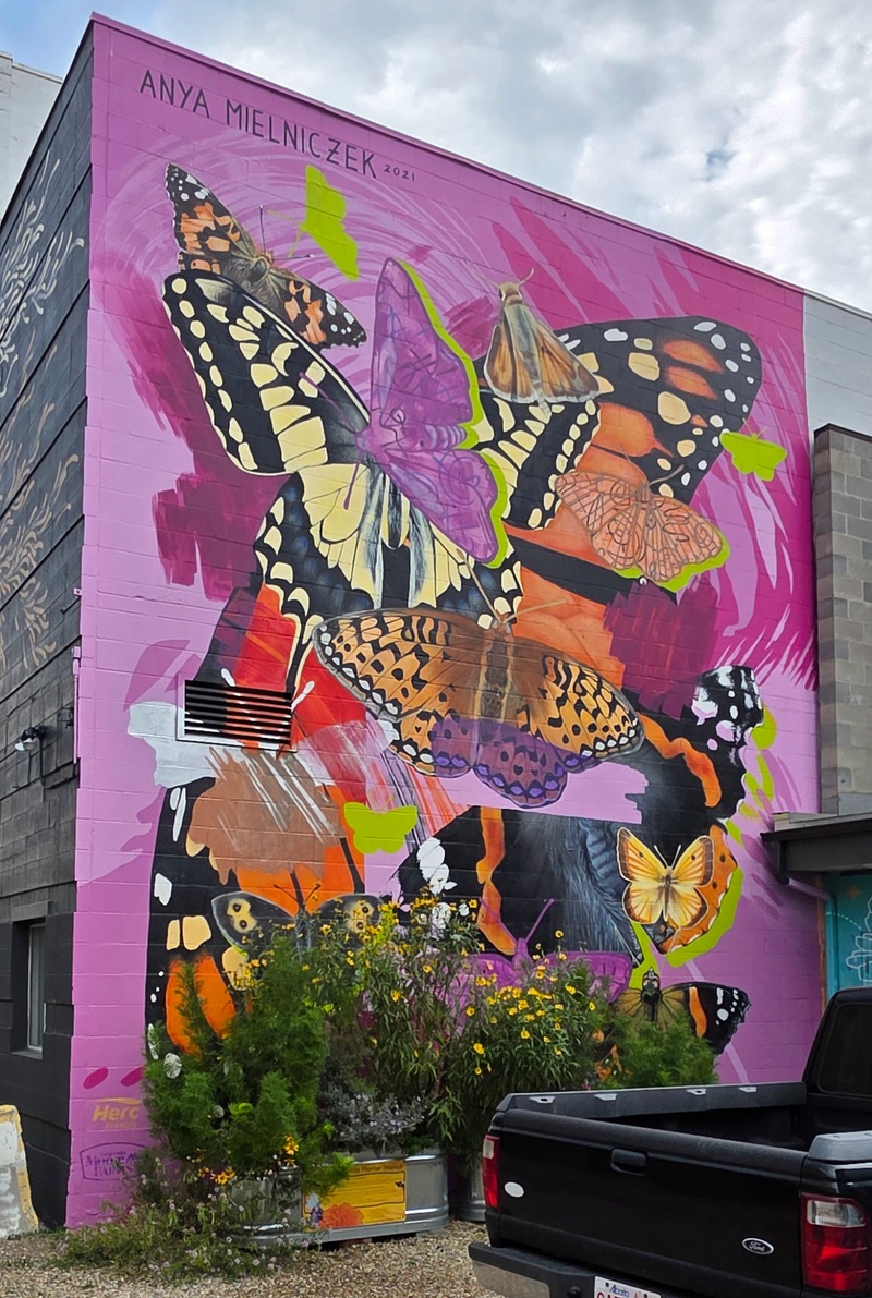mural in Red Deer by artist Anya Mielniczek.