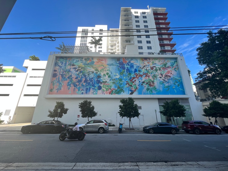 mural in Miami by artist unknown.