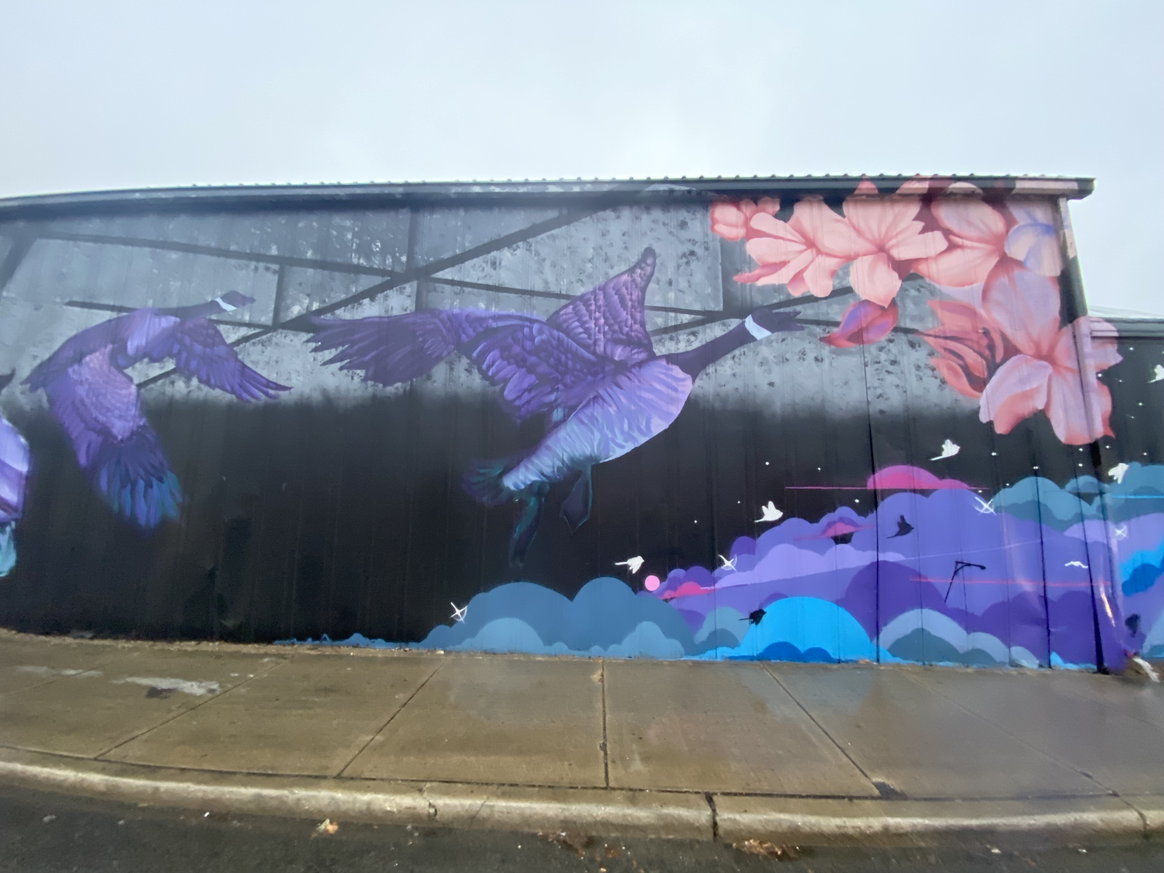 mural in Chicago by artist YANOE.