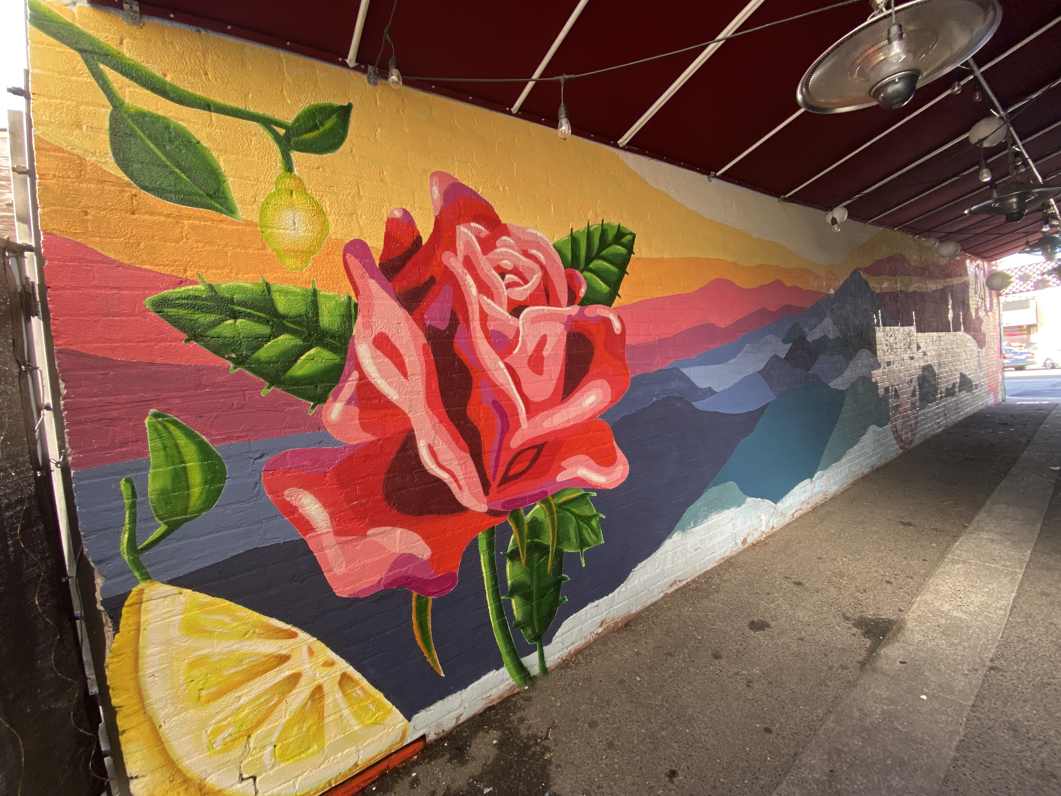 mural in Berkeley by artist unknown.