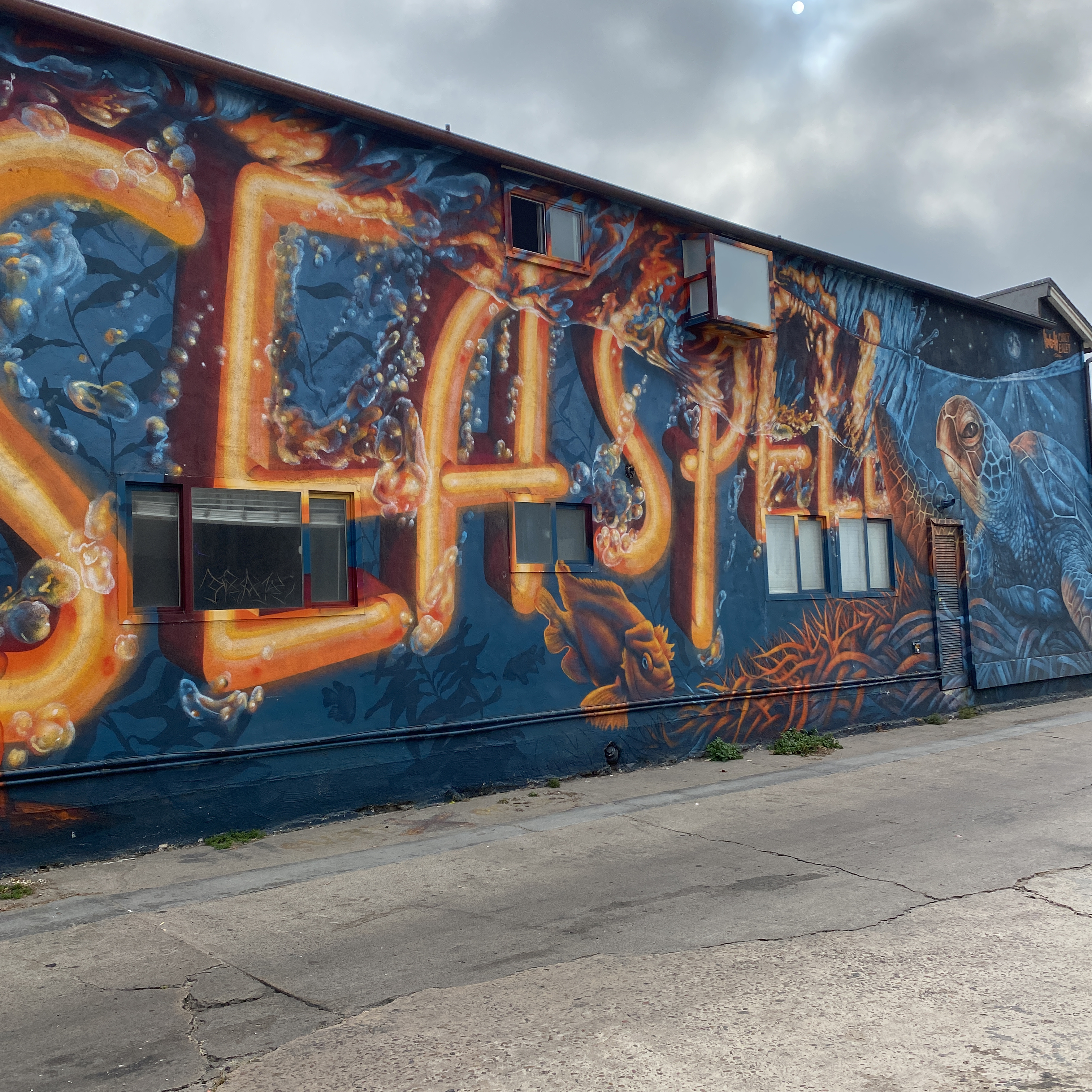 mural in San Diego by artist Carly Ealey.