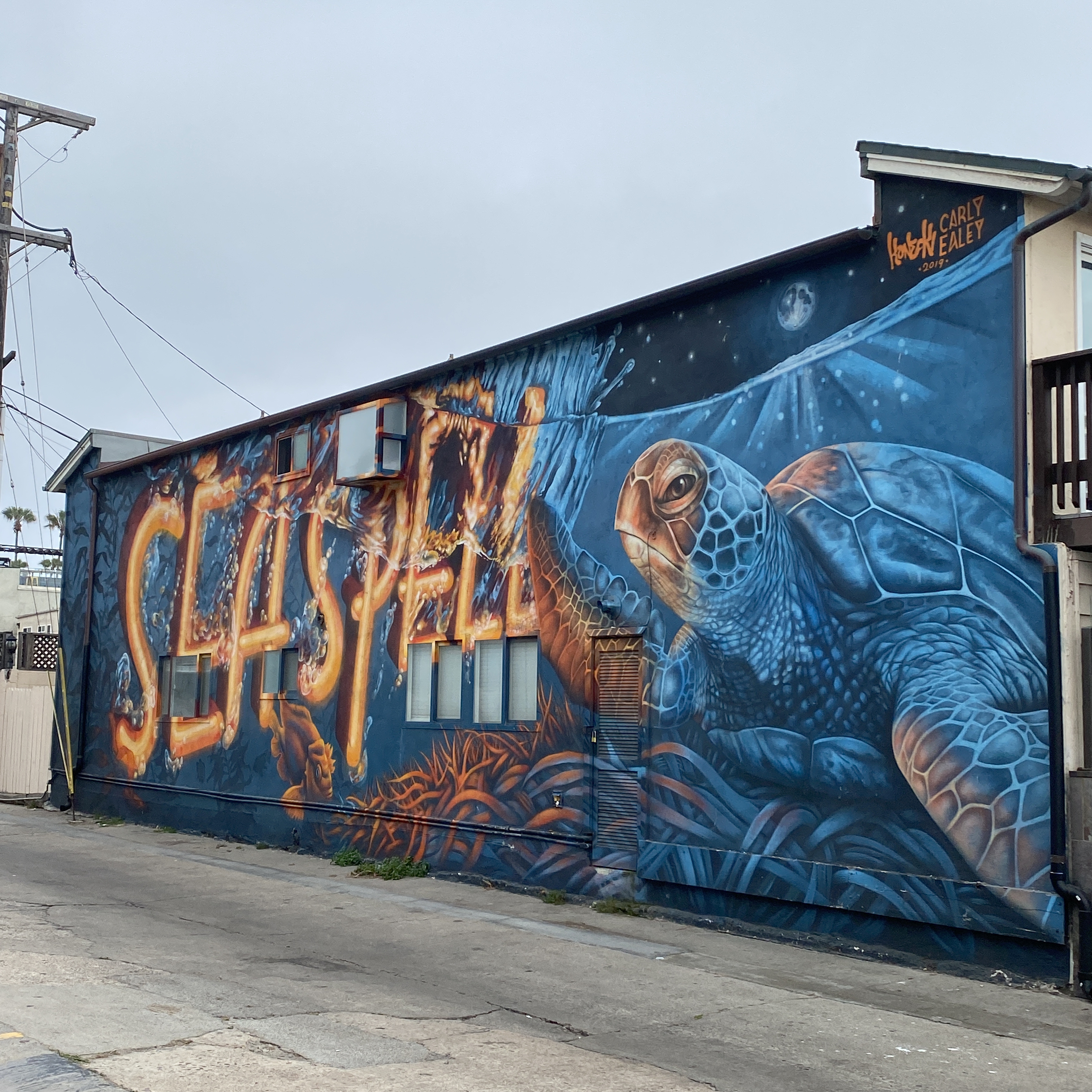mural in San Diego by artist Carly Ealey.