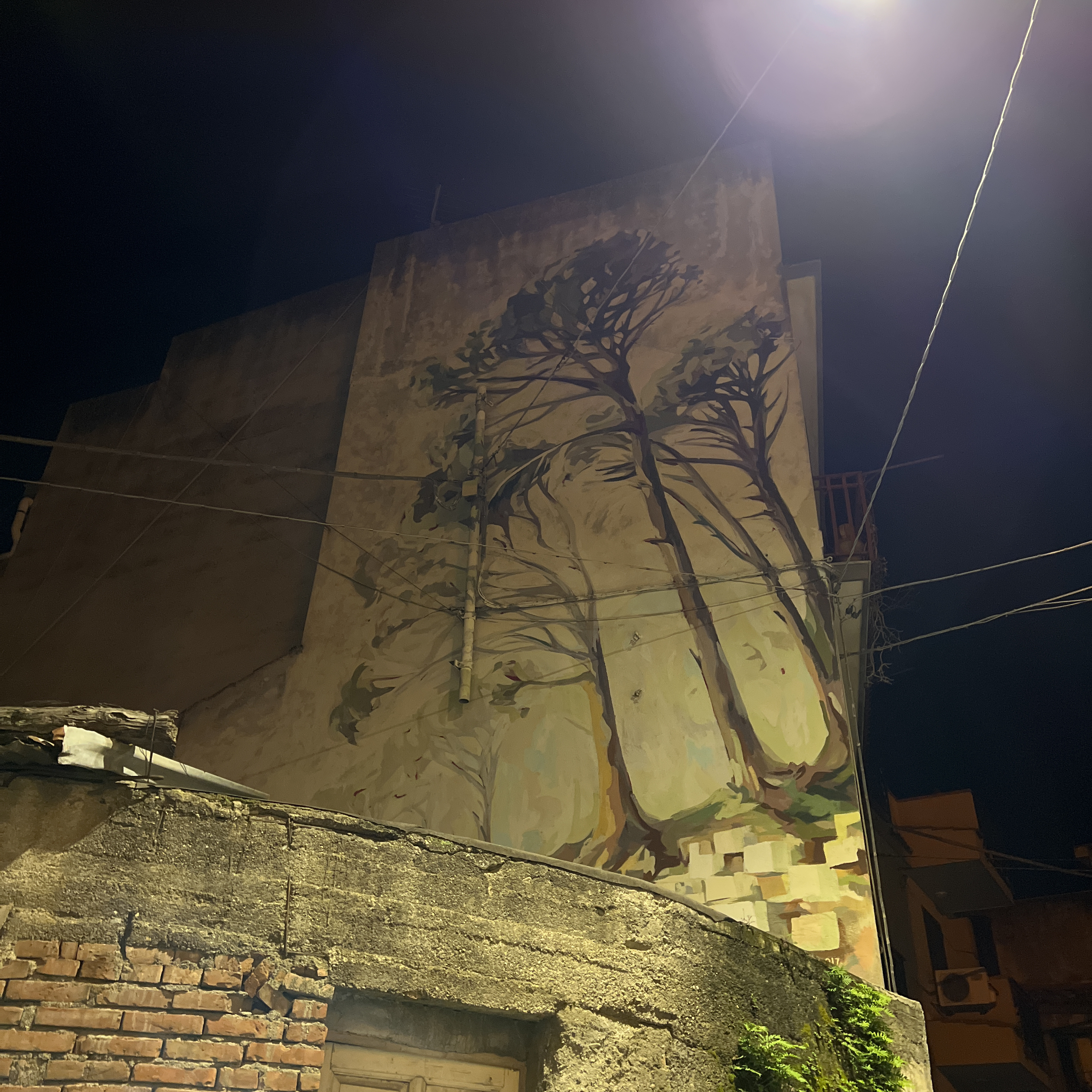 mural in Graniti by artist Joanne Hastie.