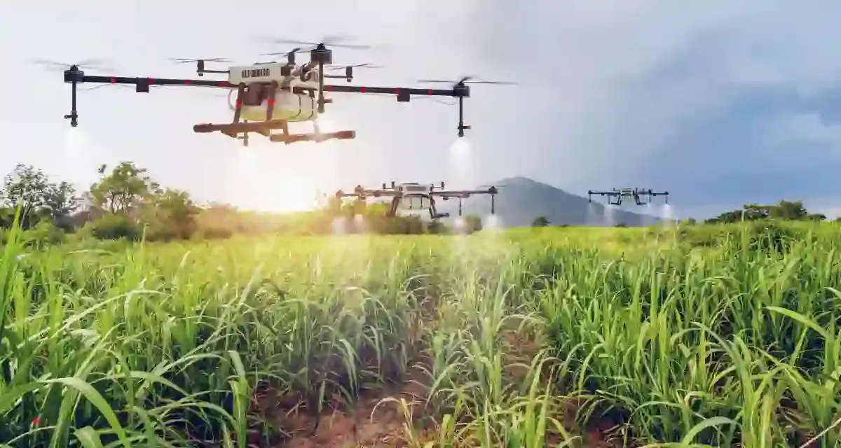 The Role of Drones in Modern Agriculture
