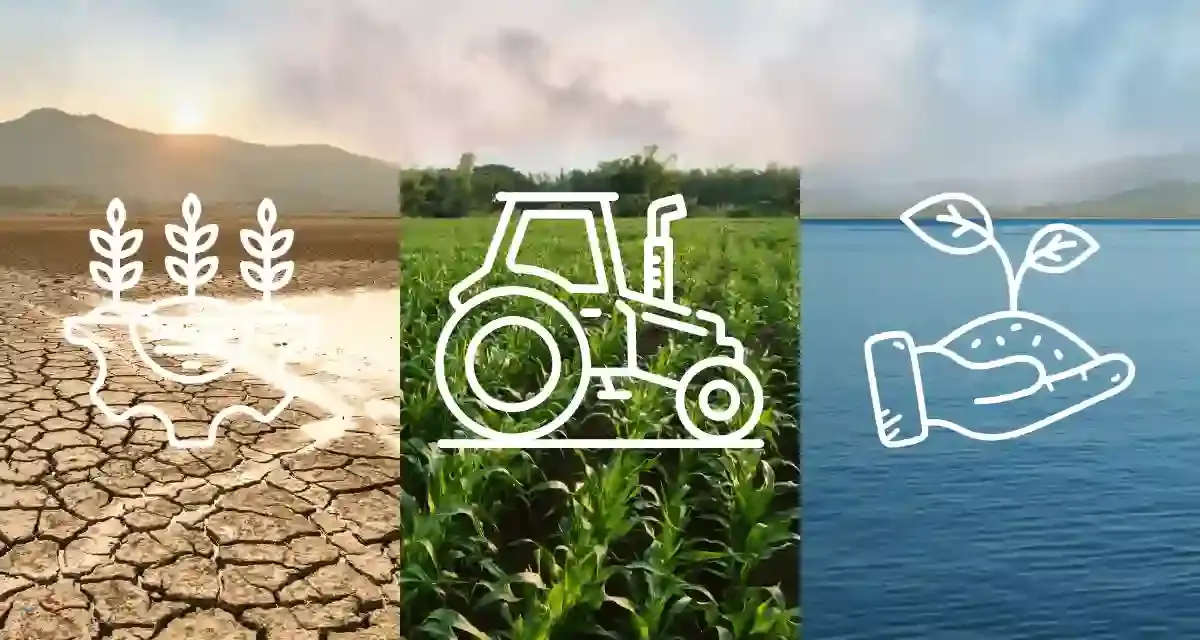 The Impact of Climate Change on Agriculture and Adaptation Strategies