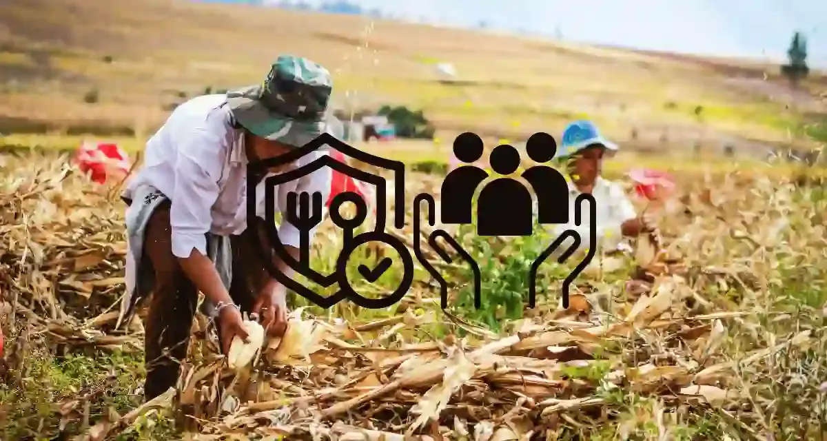 Community-Supported Agriculture (CSA) in Rural Areas: Building Food ...