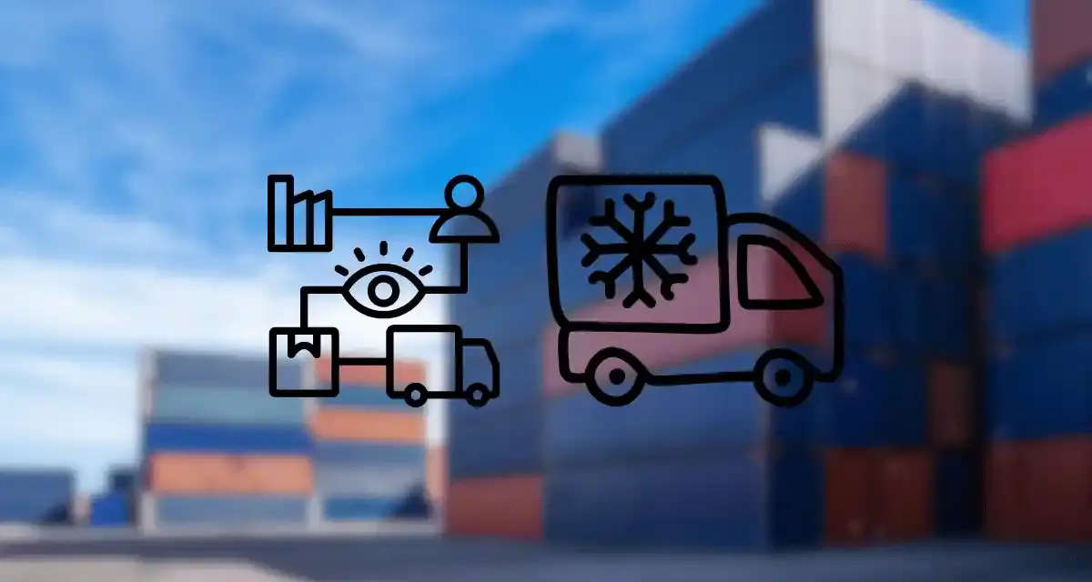 Cold Chain Optimization Guide for Frozen Food Exporters