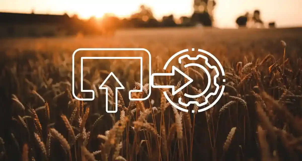 Perennial Grains: The Future of Low-Input, High-Resilience Farming
