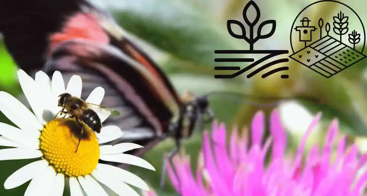 Beneficial Insects in Farming: Natural Allies for Pest and Pollination ...