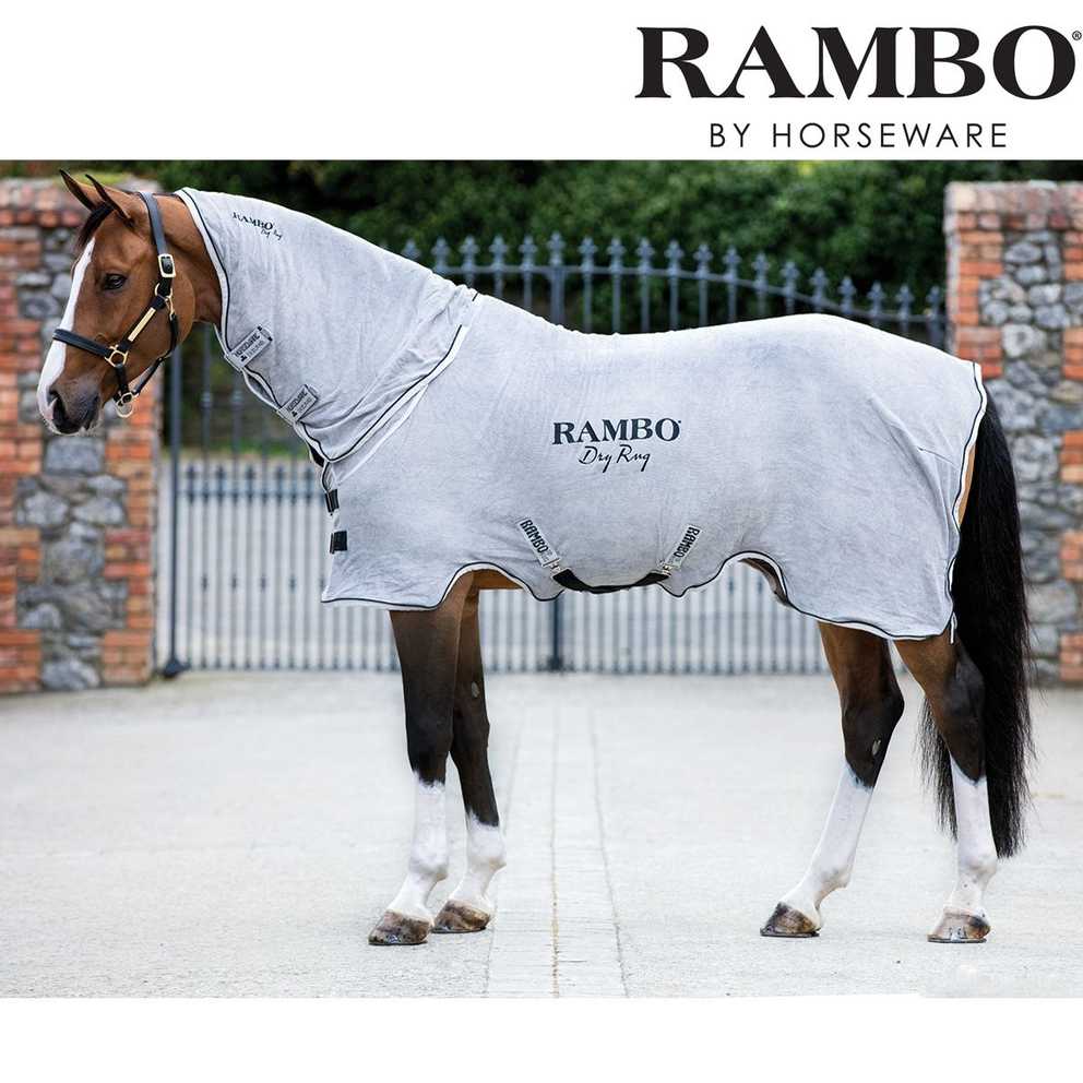 Area Rugs Rambo Rugs (1 of 15 Photos)