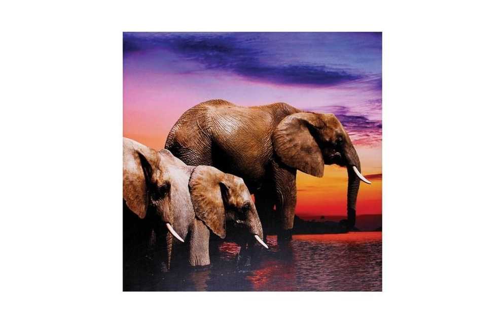 Wall Art Jysk Canvas Wall Art (5 of 20 Photos)