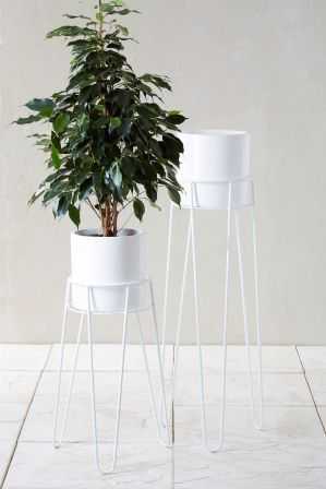Featured Image of White Plant Stands