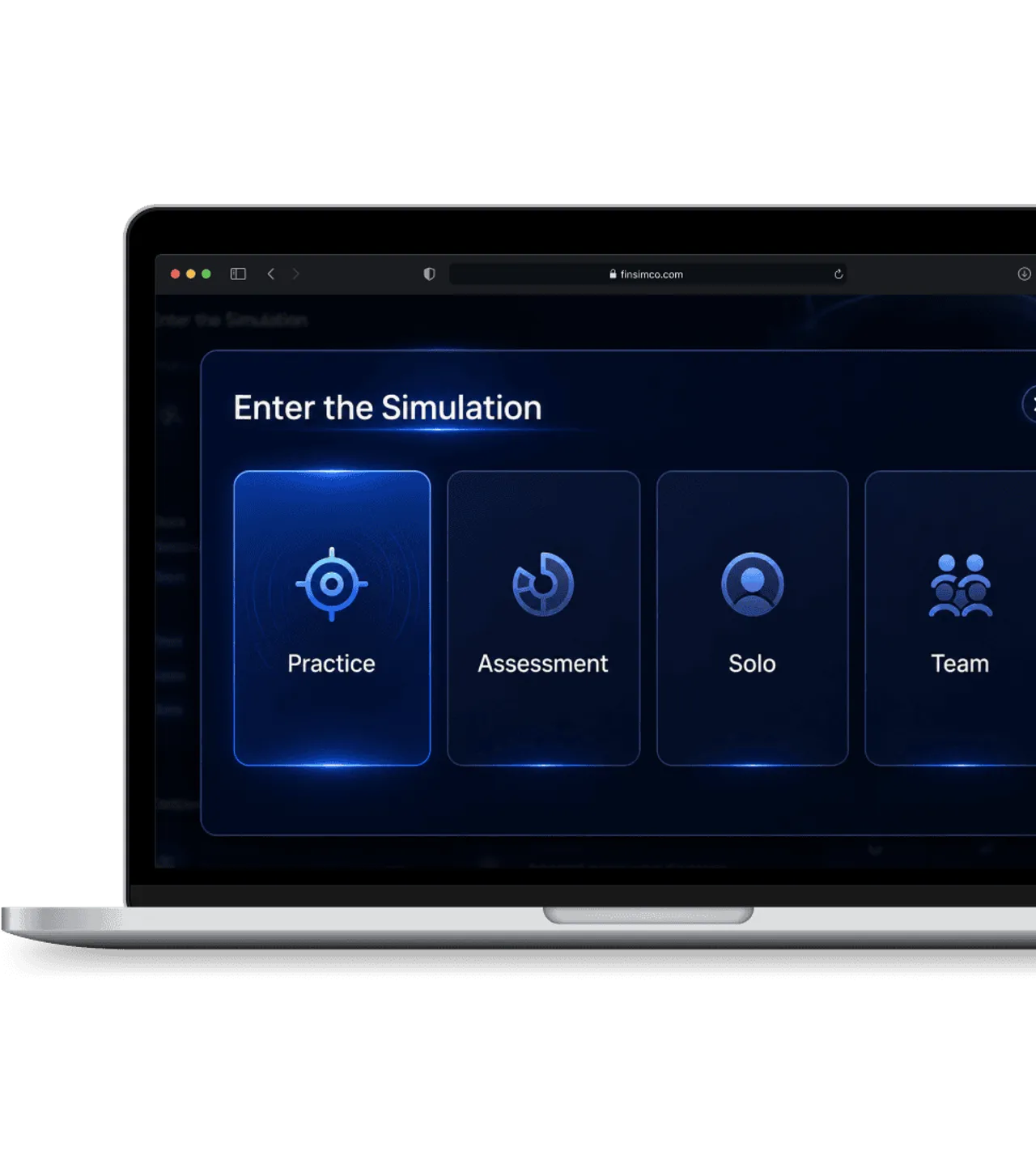 Participant Simulation Entry Interface