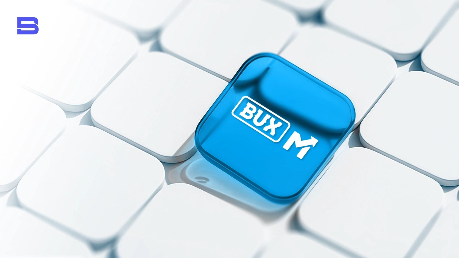 BUX Review