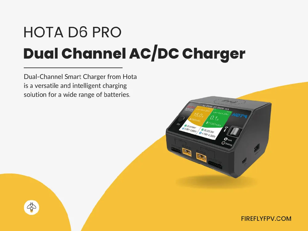 Hota D6 Pro Dual Channel Charger (Black)