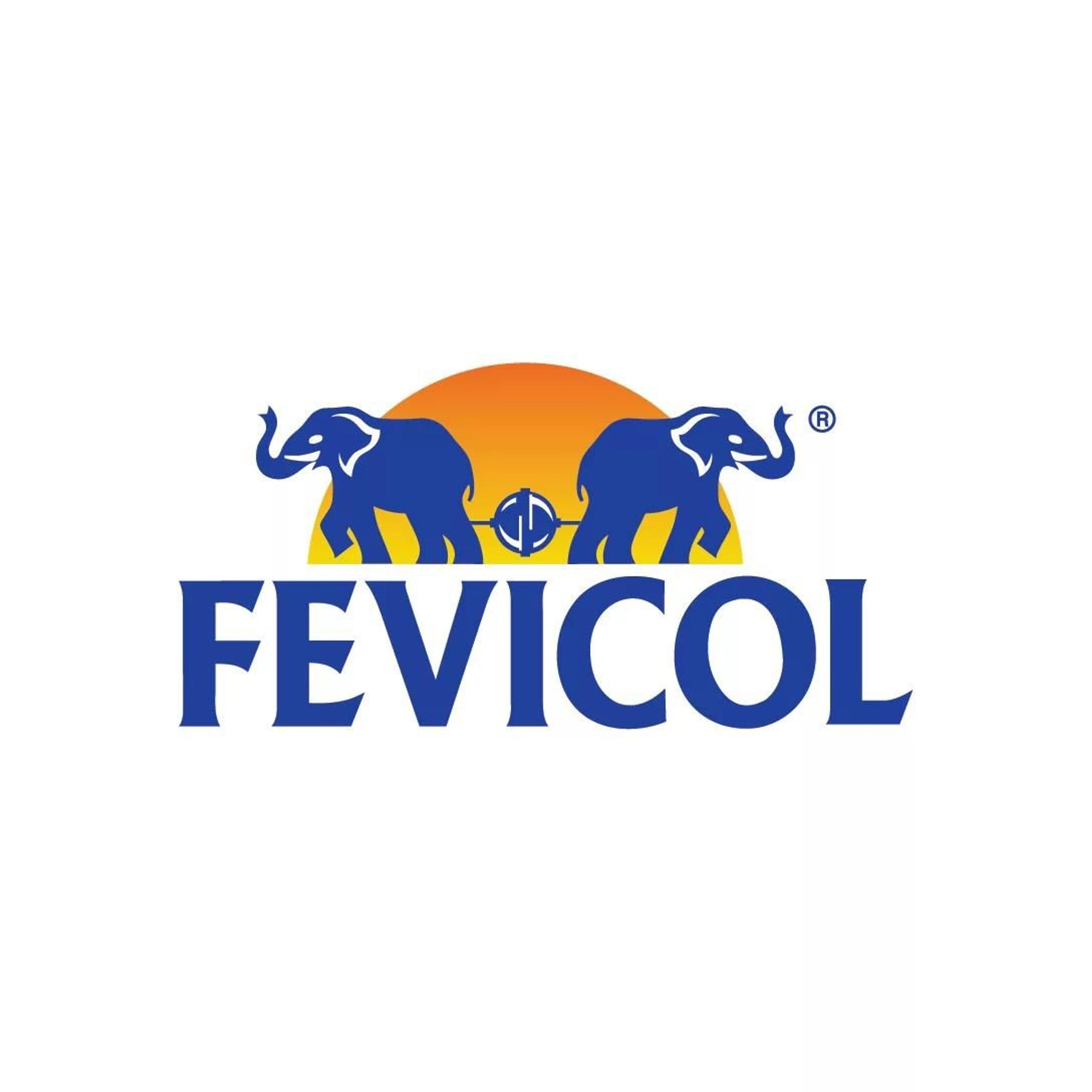 Fevicol
