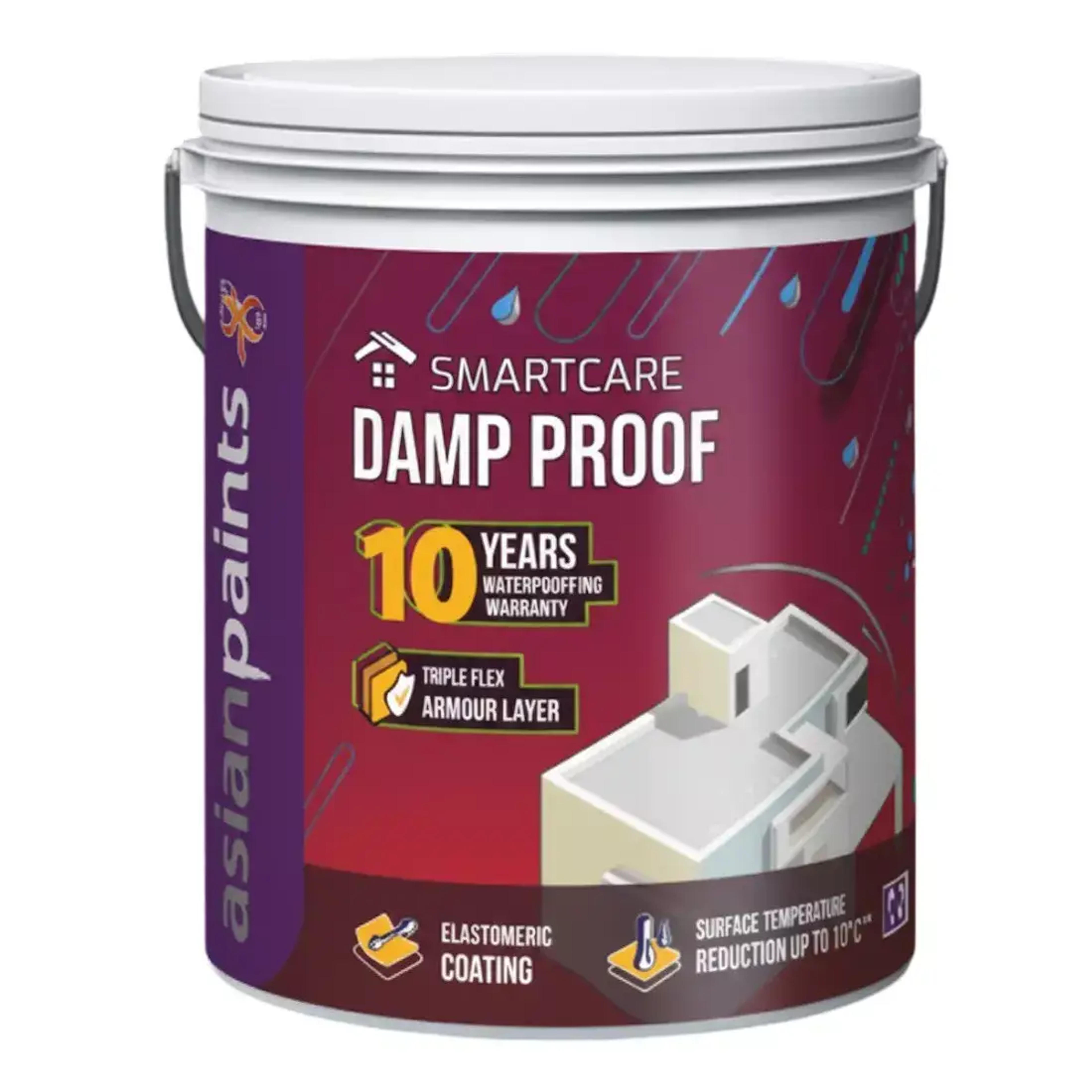 Asian Paints Smartcare Damp Proof Teracota 20L