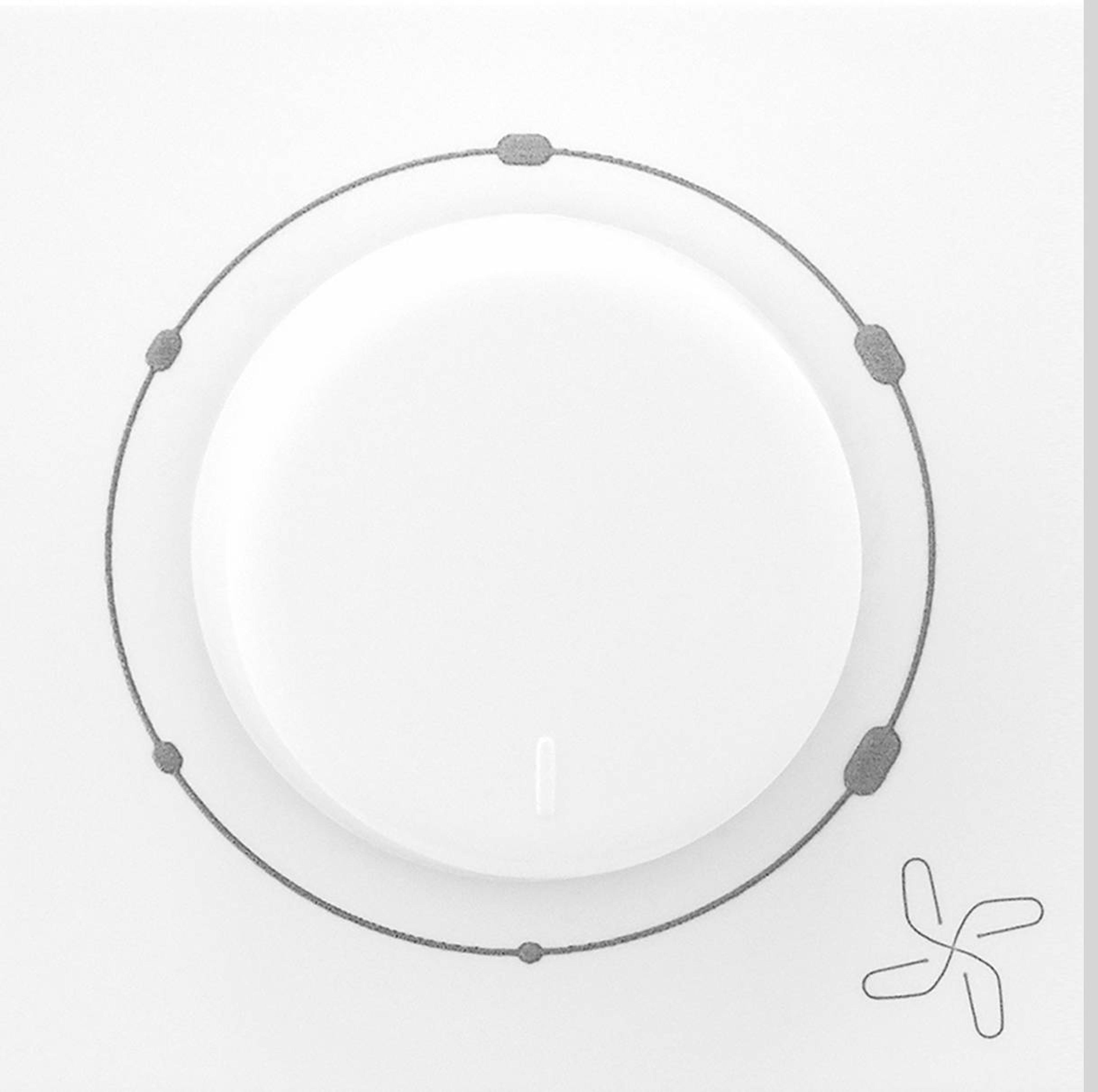 Legrand Allzy 2M Fan Regulator - View 2