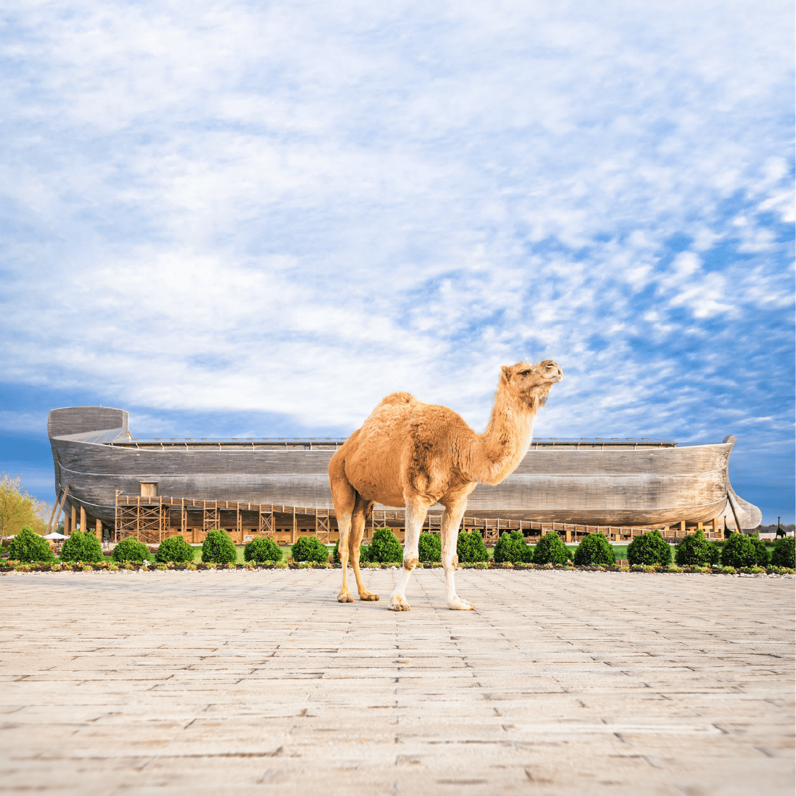 Grant County, Kentucky – Home of the Ark Encounter