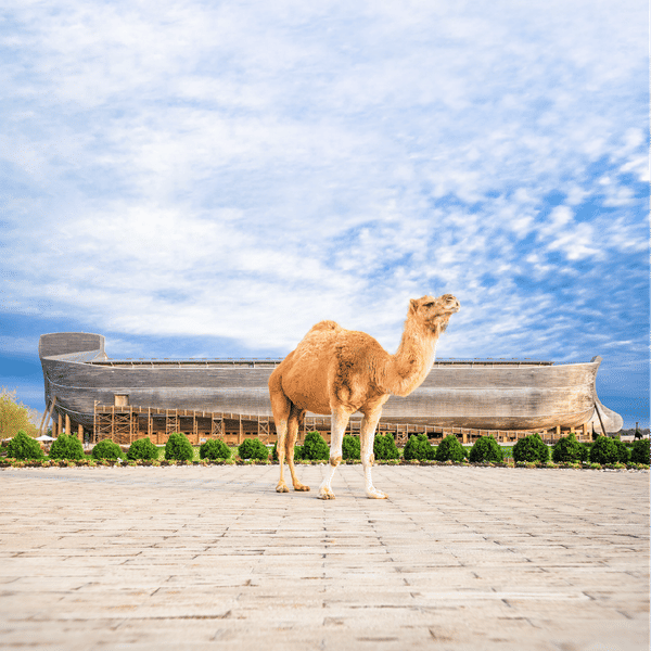 Grant County, Kentucky – Home of the Ark Encounter