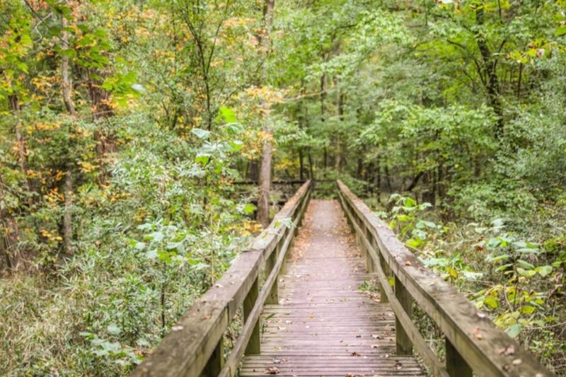 Visit Southwest Tennessee