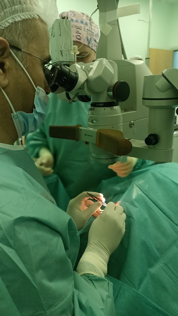 Операции на заден сегмент на окото