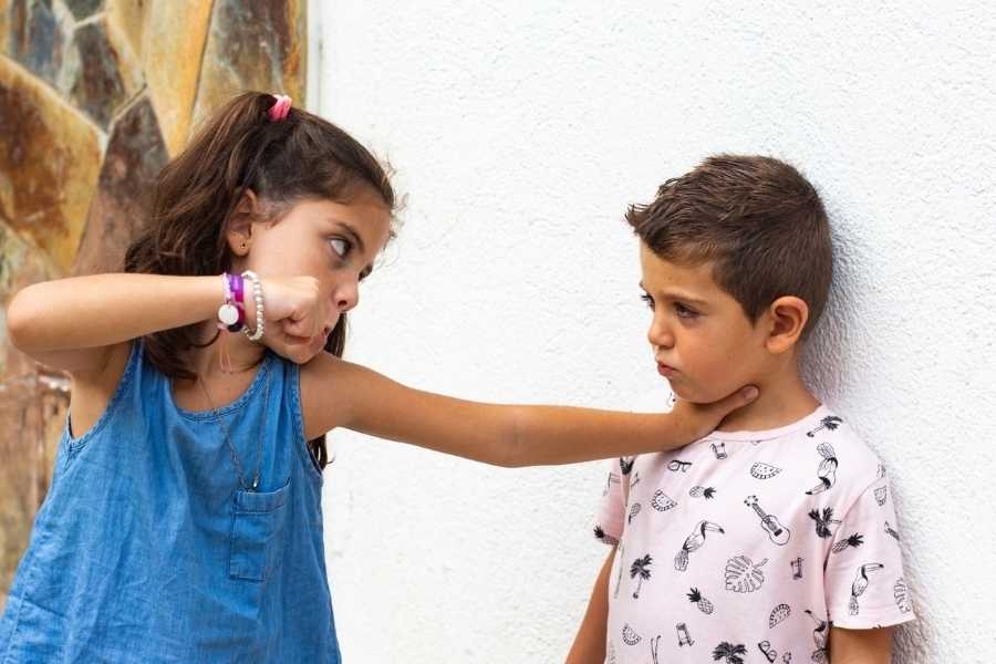 Видови и причини на агресија кај деца