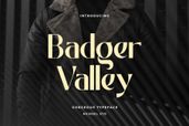 Badger Valley 12
