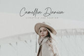 Better Grade – modern signature script font with elegant handwritten style, featuring smooth flowing strokes and stylish ligatures, ideal for logos, branding, invitations, and packaging designs.
