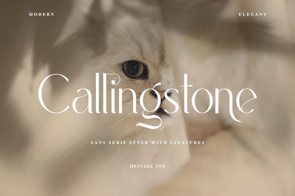 Callingstone Minimalist Sans Serif Font