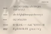 Callingstone Minimalist Sans Serif Font