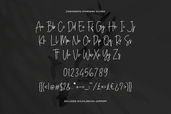 Confidente Script Font