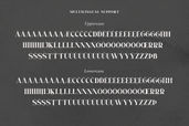Norden All Caps Serif Font