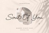 Soul Of You Modern Script Font