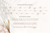 Sharland Luxury Calligraphy Script