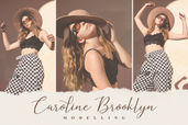 Preview 3 5