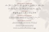 Soul Of You Modern Script Font