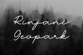 Madore Handwritten Font