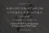 The Chairman Signature Font