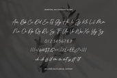 Monstera Jam - Signature Font, Handwritten Font, Cursive Font, Canva Fonts, Font For Cricut, Procreate Fonts, Wedding Font, Digital Fonts