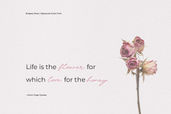 Bulgary Rose Handwritten Script Font