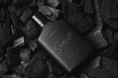Merysville Modern Signature Font With Tails