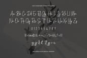 Reys Monstera Signature Font